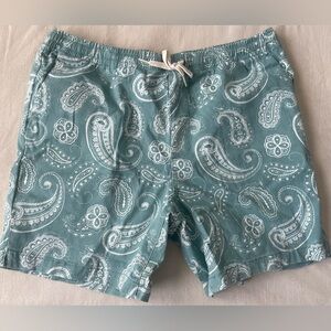 PacSun Reed Mint Paisley Mens Twill Volley Shorts